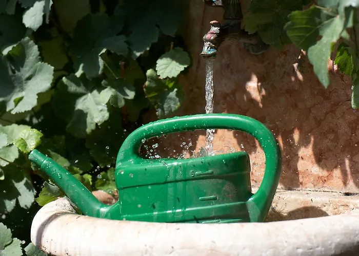 Hotel Maischeider Hof *