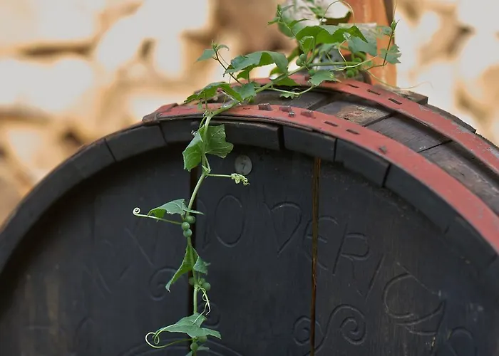 Maischeider Hof * Kleinmaischeid